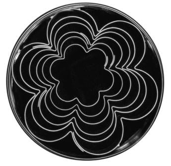 Tin Plate Petal Cutter Set (6pc)