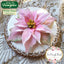 Poinsettia Mould + Veiner Silicone Mould