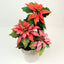 Poinsettia Mould + Veiner Silicone Mould