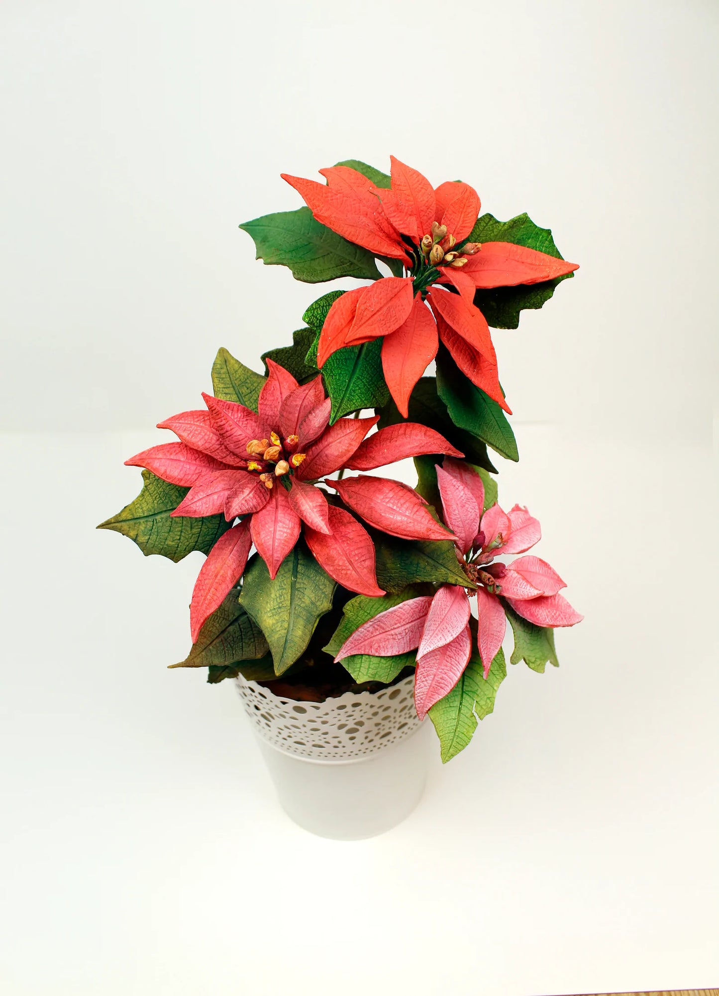 Poinsettia Mould + Veiner Silicone Mould