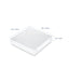 Biscuit Box Clear Lid 1" High