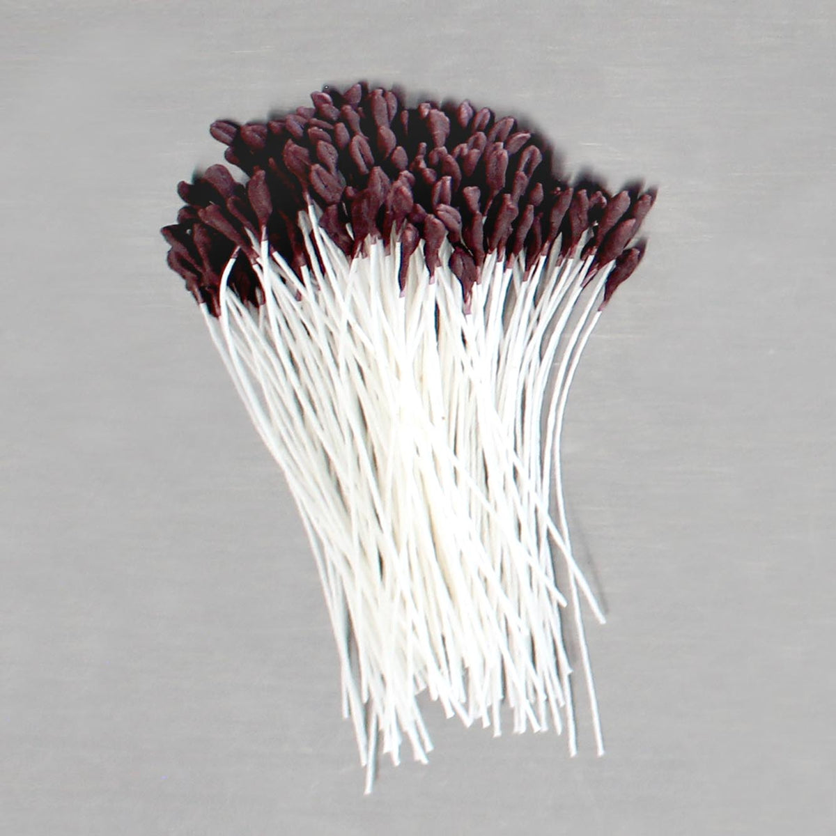 Floral Stamen Lily Brown Small (6pk)