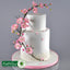 Flower Pro Blossoms Silicone Mould + Veiner