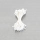 Floral Stamen Pearl White Medium (6pk)