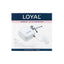 LOYAL Airbrush 30psi