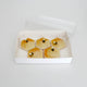 Biscuit Box Clear 2" High