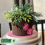 Flower Pro Wedding Foliage Mould