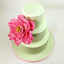 Peony Tulip Silicone Mould + Veiner