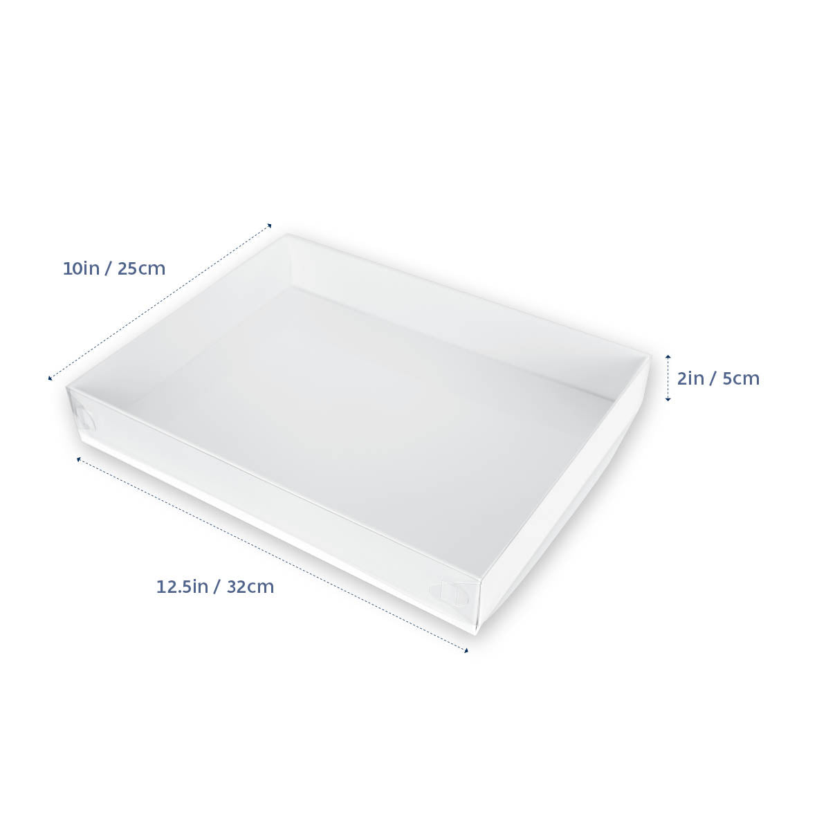 Biscuit Box Clear 2" High