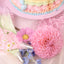 Pastel Dream Vintage Cake Bundle