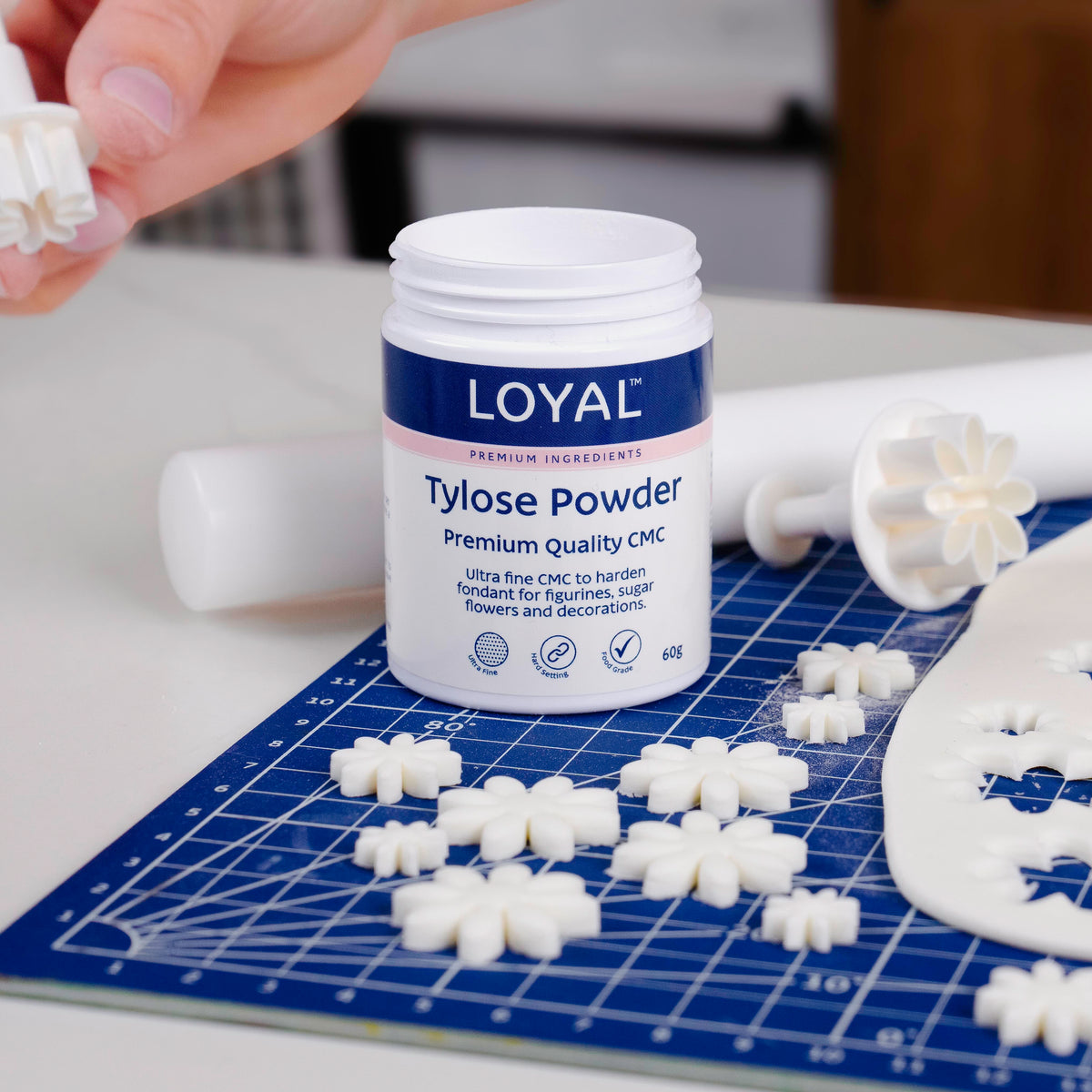 Tylose Powder (60g)
