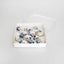 Biscuit Box Clear Lid 1" High