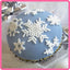 Snowflakes Silicone Mould
