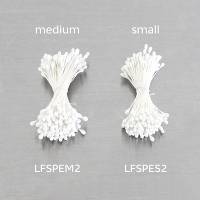 Floral Stamen Pearl White Medium (6pk)