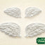 Wings Silicone Mould