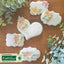 Flower Pro Blossoms Silicone Mould + Veiner