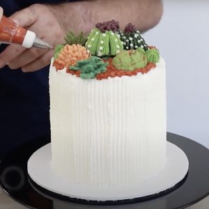 SUCCULENT CAKE
